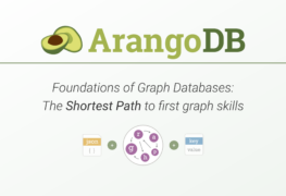 Foundations of Graph Databases